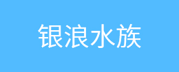 絲線(xiàn)